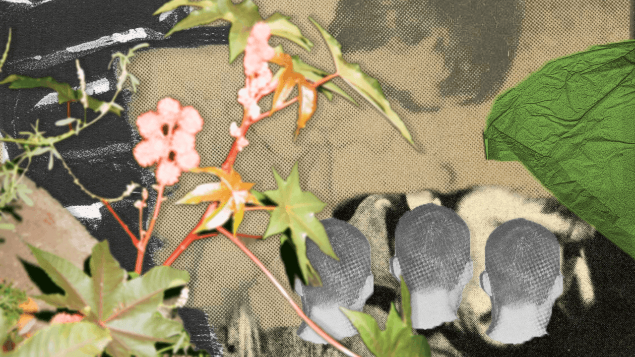 A digital collage featuring green plants, light pink flowers, abstract textures, and the backs of three heads.
