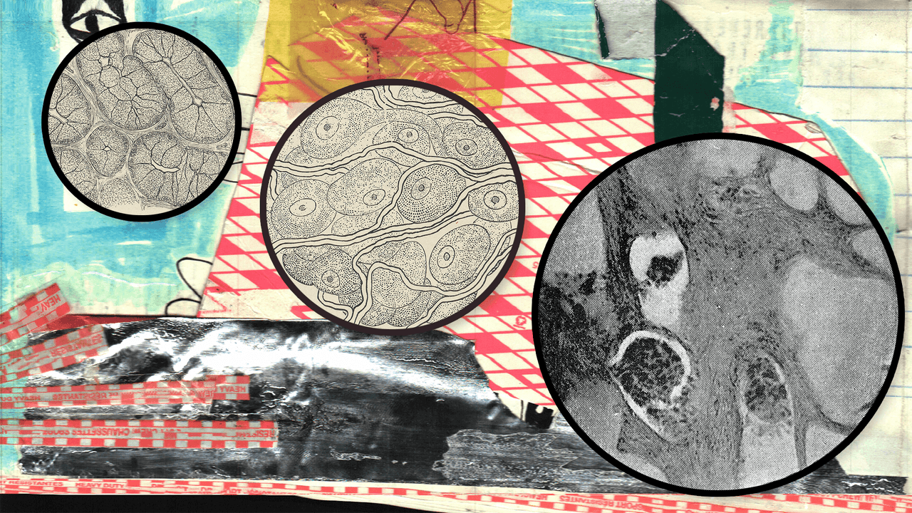 Three circular magnified biological images, possibly cellular structures, displayed on a vibrant, mixed-media collage background.